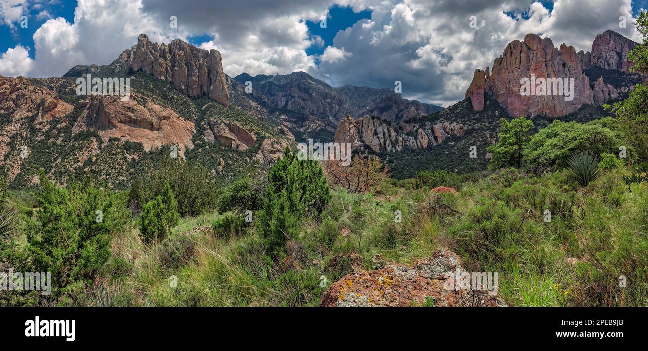 Silver Peak Trail, monument national de Chiricahua, Arizona Banque D'Images