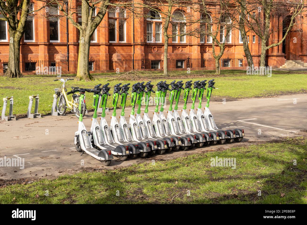 Salford, Manchester, royaume-uni, le 11 mars 2023, des e-trottinettes garées ensemble au musée et à la galerie d'art de salford, transport urbain vert Banque D'Images