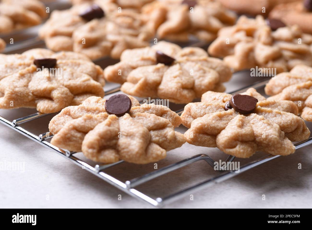 Gros plan des biscuits au sucre avec une pastille de chocolat sur le dessus reposant sur une grille de refroidissement. Banque D'Images