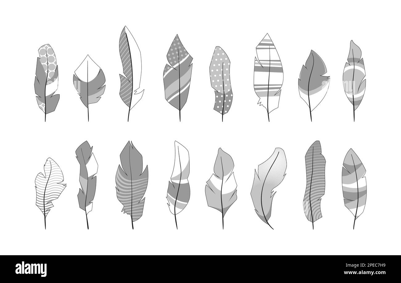 Plumes ornementales. Formes abstraites décoratives de plumelet d'ailes d'oiseaux, fantaisie créative tribal ethnique silhouettes quill style simple plat. Doodle vectoriel Illustration de Vecteur