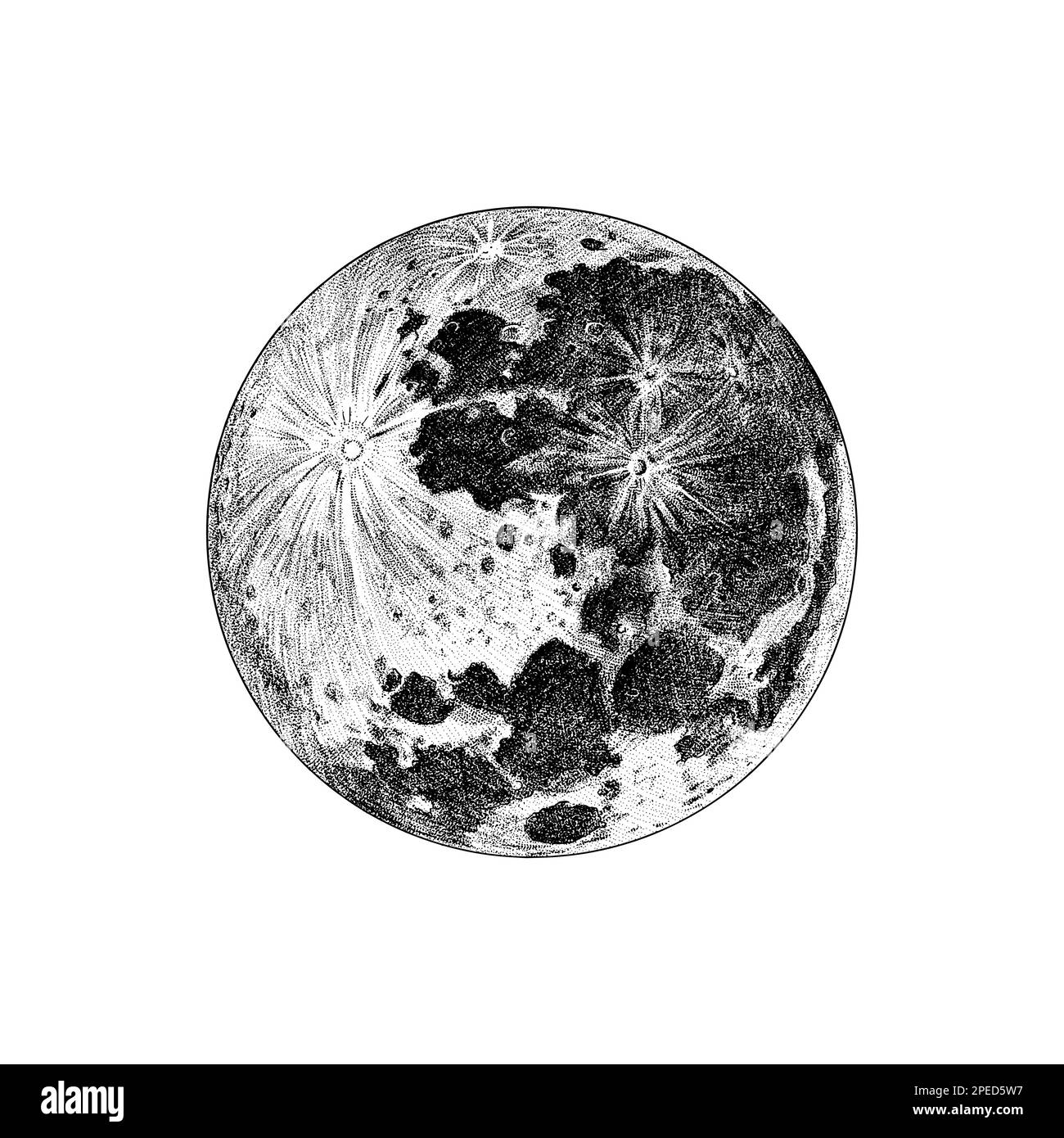 Lune. Satellite naturel. Espace astronomique de la galaxie. Gravé à la main, dessiné dans un ancien croquis, style vintage pour l'étiquette. Illustration de Vecteur