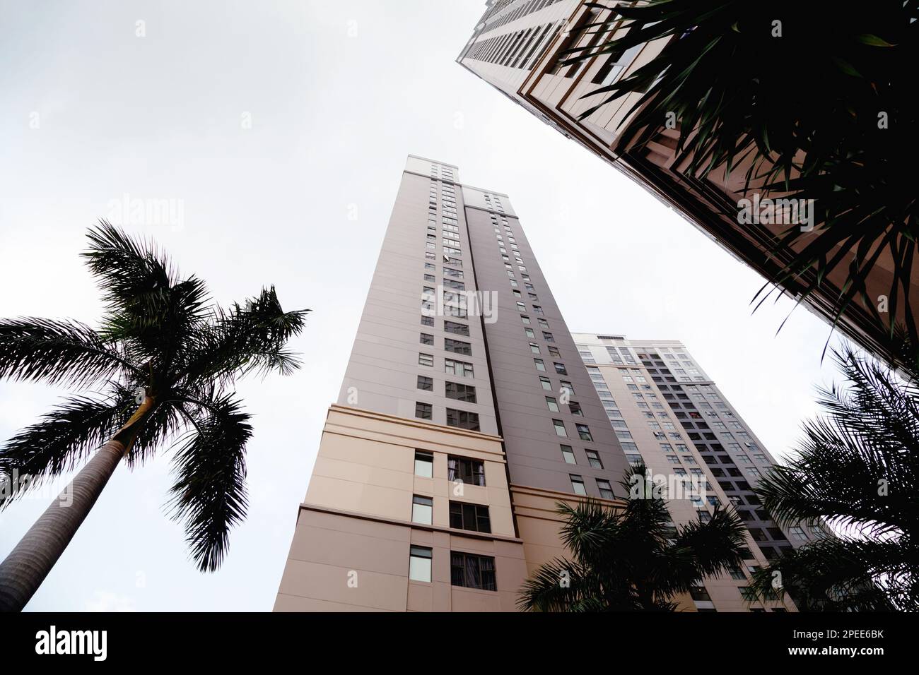 Vue à angle bas des bâtiments résidentiels modernes parmi les palmiers. Paysage urbain moderne, gratte-ciel dans un climat tropical Banque D'Images