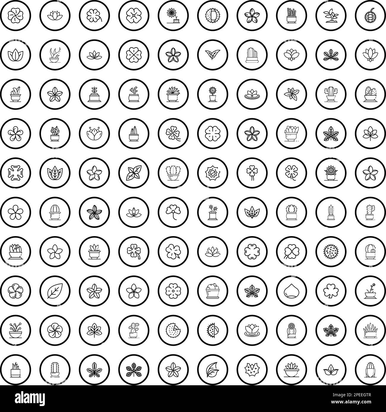 ensemble de 100 icônes d'usine. Illustration de 100 icônes de plantes ensemble de vecteurs isolé sur fond blanc Illustration de Vecteur