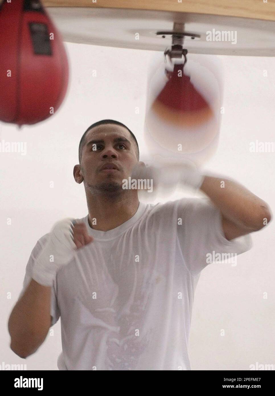 ** ADVANCE FOR WEEKEND, JAN. 15-16 ** Lightweight Juan Diaz works on a speed bag Monday, Jan. 10, 2005, in a Houston gym. At 21, Diaz is the youngest reigning world champion, owner of the WBA lightweight title belt. (AP Photo/Pat Sullivan) Banque D'Images