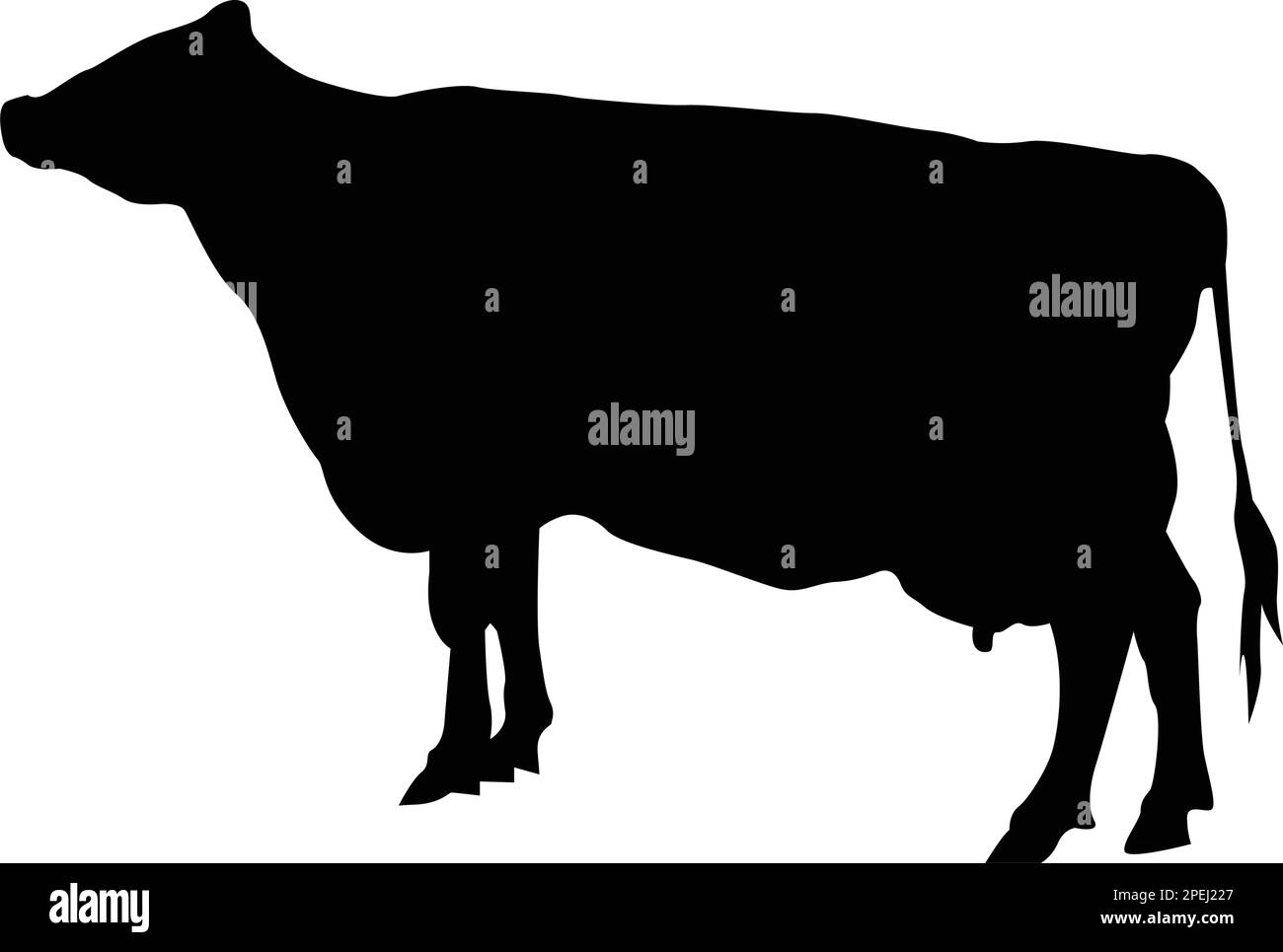 modèle vektor avec logo de la vache noire Illustration de Vecteur