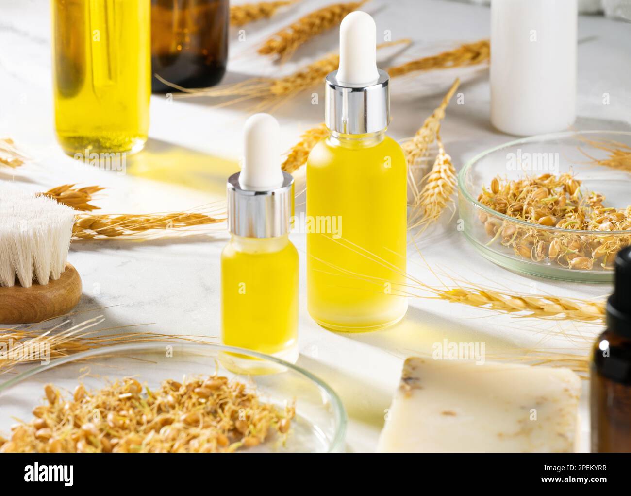 Huile de sérum de blé pour les soins de la peau et des cheveux. Composition conceptuelle d'huiles essentielles de blé, d'une brosse de bain et d'un germe de blé sur une table en marbre. Flacon de dbo Banque D'Images