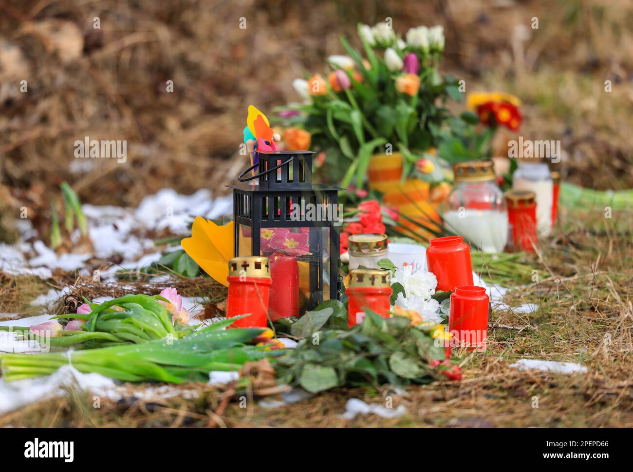 Freudenberg, Allemagne. 16th mars 2023. Des bougies et des fleurs se trouvent dans une forêt du sud de la Rhénanie-du-Nord-Westphalie. À l'école de la jeune fille de douze ans tuée Luise, les élèves doivent être progressivement enseignés à nouveau selon le calendrier après de longues discussions. Luise avait été tué avec de nombreuses blessures au couteau sur 11 mars 2023. Credit: Oliver Berg/dpa/Alay Live News Banque D'Images