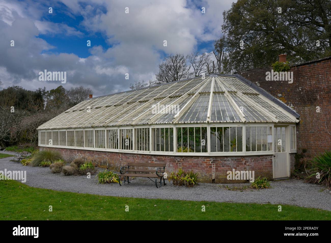 Grande serre victorienne dans le jardin de Greenway, Galmpton, Devon, Angleterre, Royaume-Uni Banque D'Images