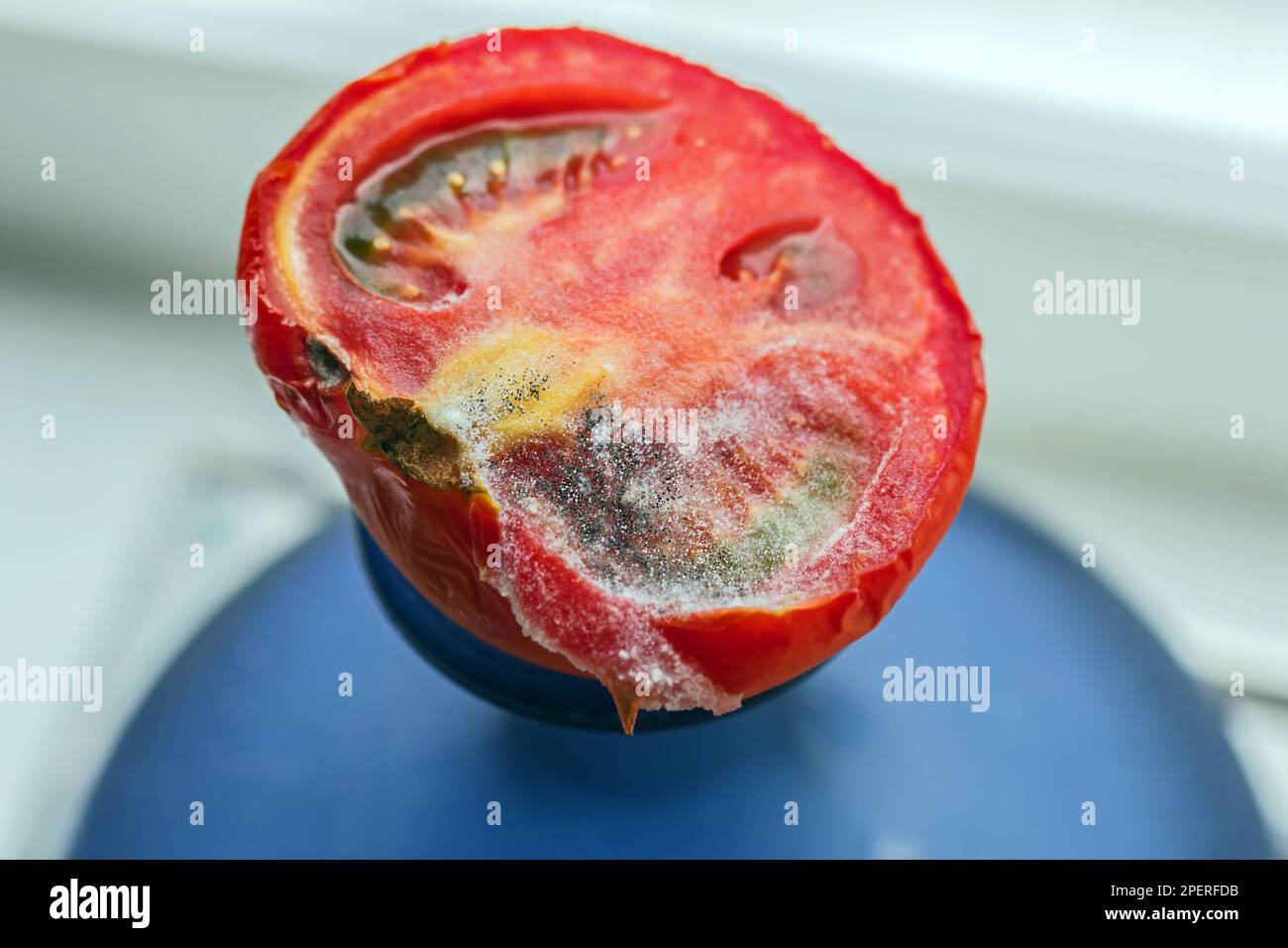 Moule à effet réel sur la moitié de la tomate rouge pour un moment inoubliable Banque D'Images