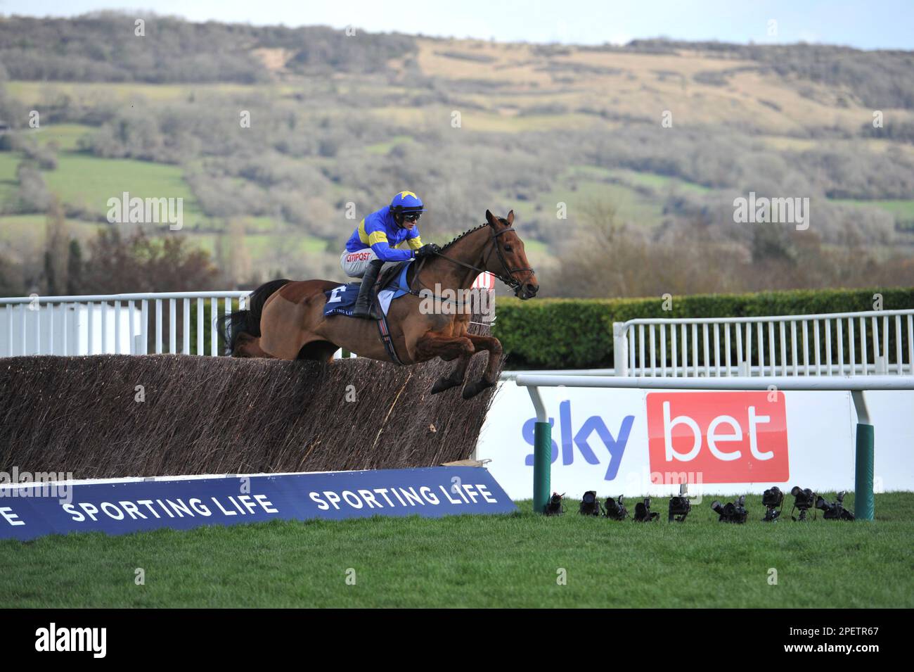 Course 2 le Sporting Life Arkle Trophée Dysart Dynamo, monté par Danny Mullins, mène sur le premier circuit course hippique à Cheltenham Racecourse on D. Banque D'Images