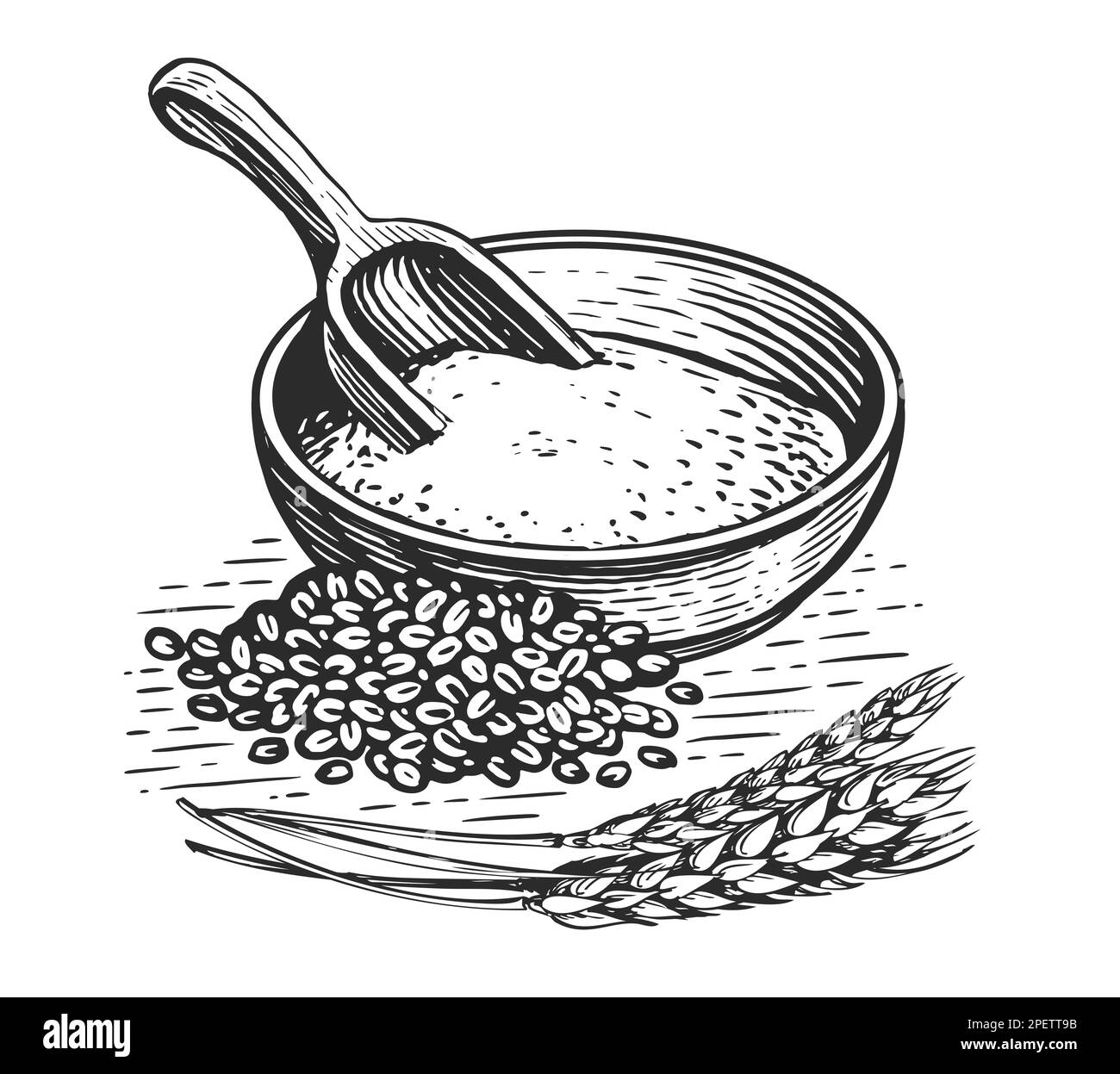 Farine dans un bol, grains de blé, pelle en bois et épis de blé. Alimentation saine. Illustration vintage dans un style d'esquisse Banque D'Images