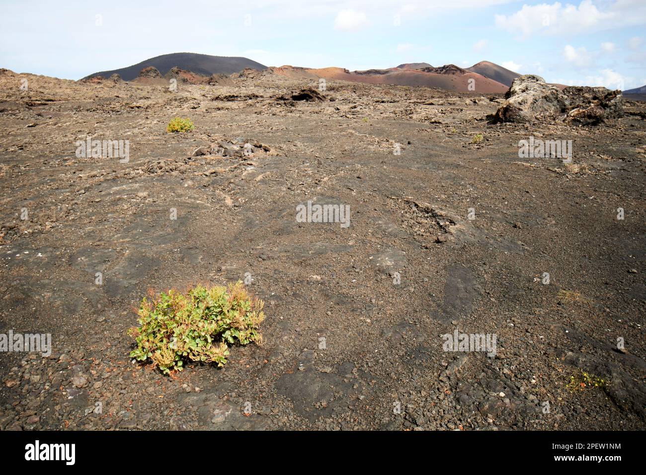 Vue sur le champ de lave et la végétation en direction de montanas del fuego et parque nacional de timanfaya Lanzarote, îles Canaries, Espagne Banque D'Images