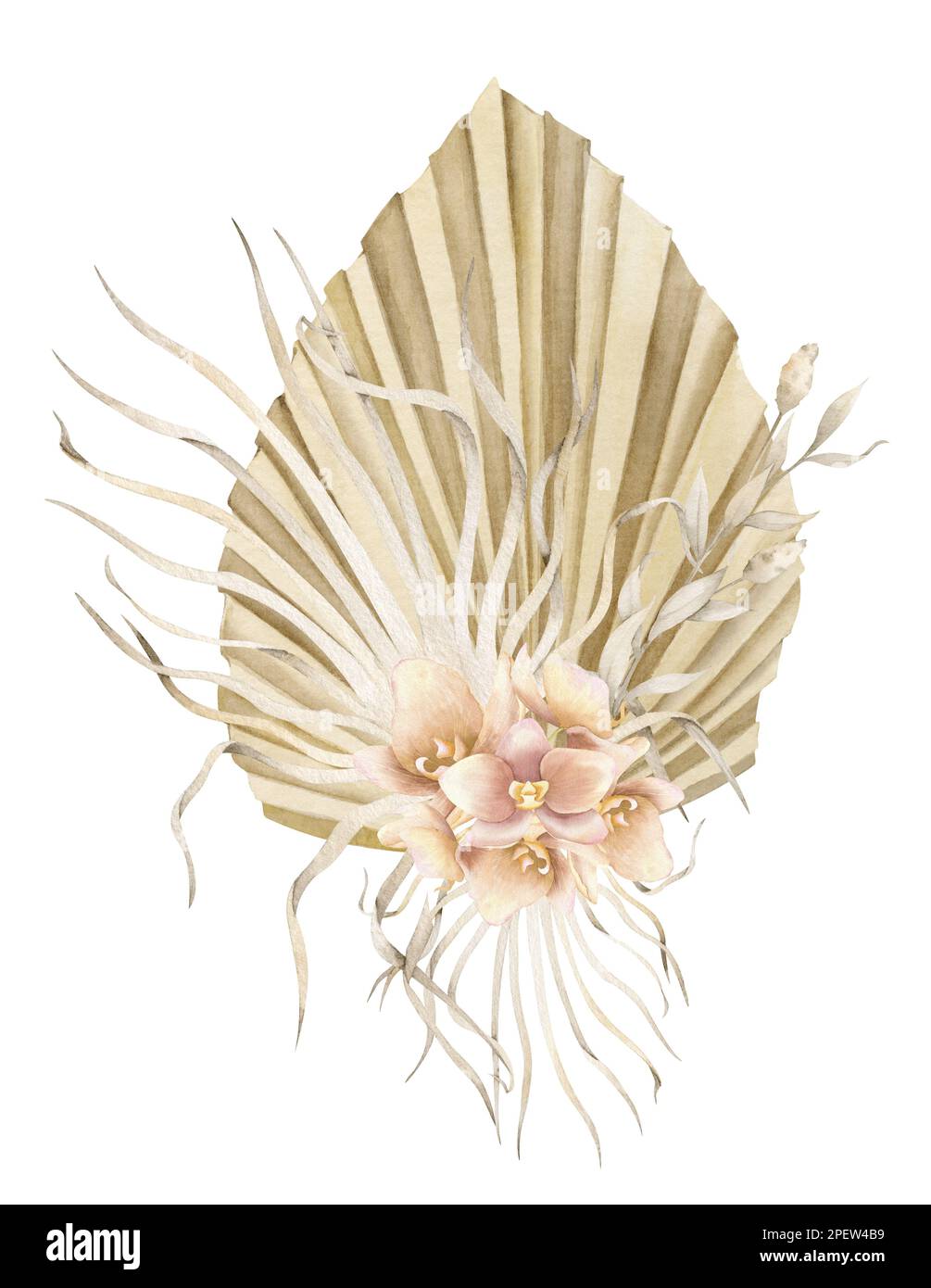 Fleurs séchées de style boho. Illustration aquarelle dessinée à la main sur un arrière-plan isolé pour les cartes de vœux ou les invitations de mariage. Bouquet crémeux bohémien avec feuilles de palmier sèches dans d orchidées rose pâle. Banque D'Images