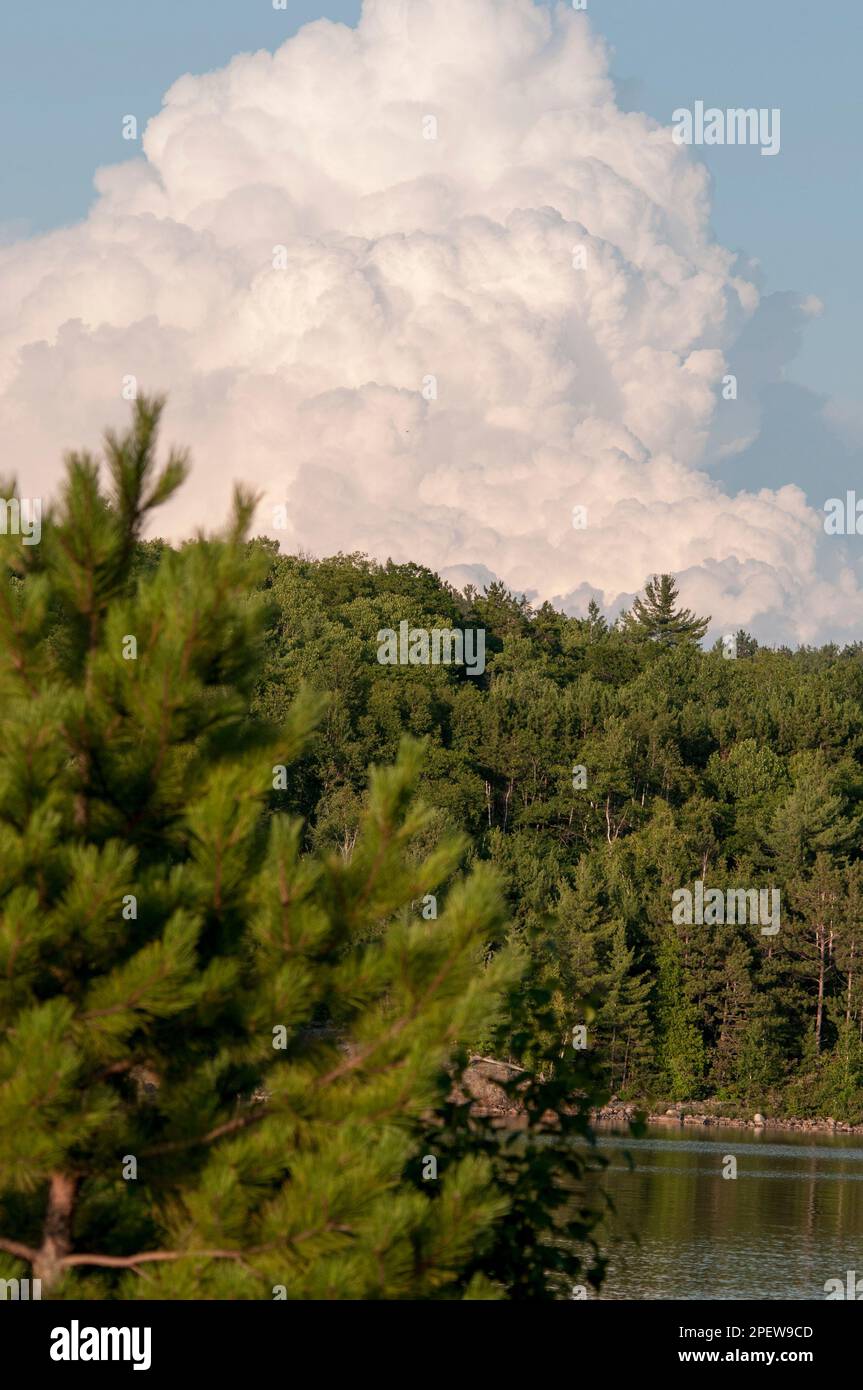 De beaux cumulus avec des arbres et des paysages aquatiques. Le calme avant la tempête. Paysage d'été. Banque D'Images