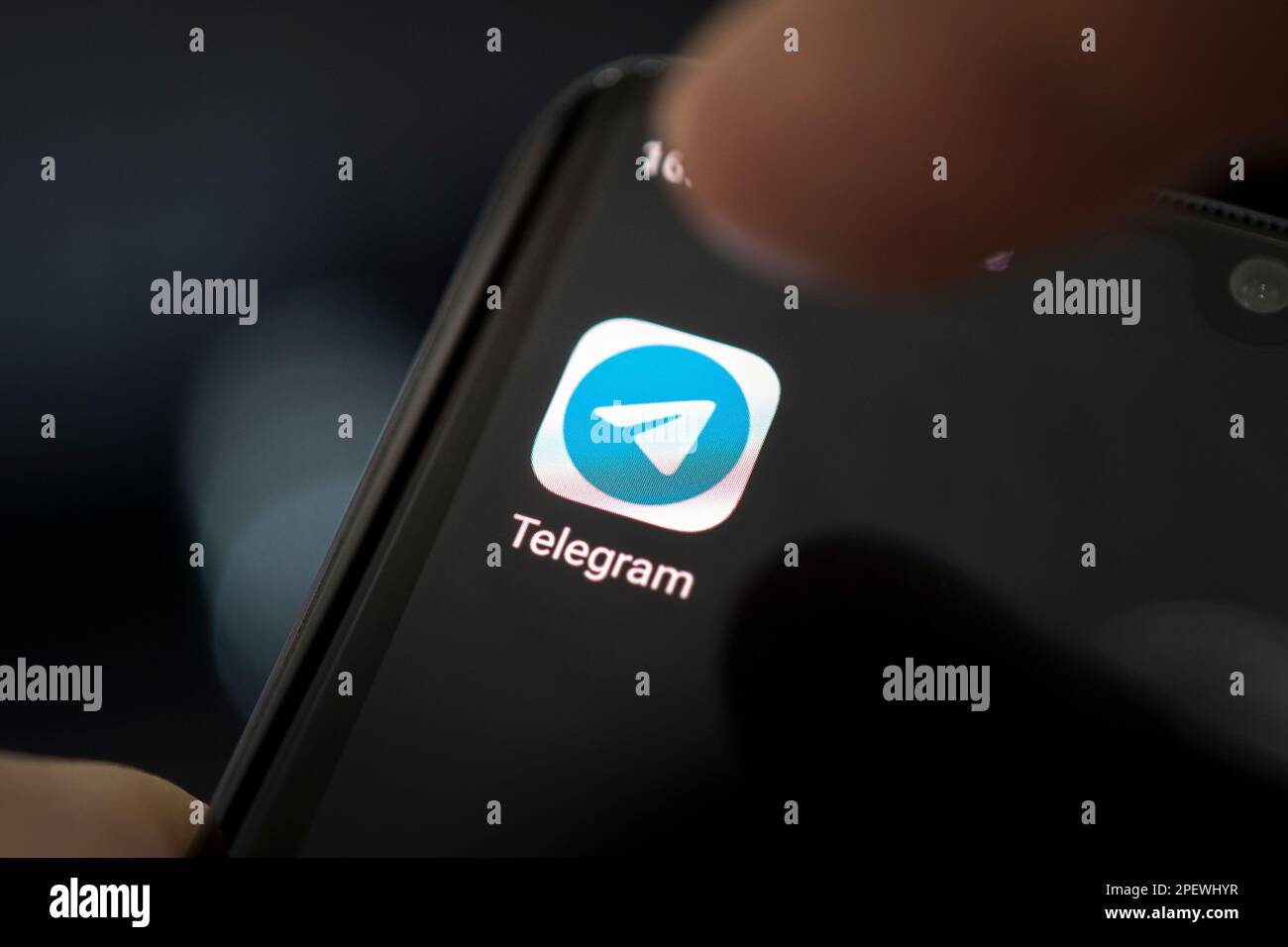 Barnaul. Russie. 9 février 2021 : icône de télégramme de l'application sur l'écran du smartphone. Télégramme est un réseau de médias sociaux en ligne. Banque D'Images