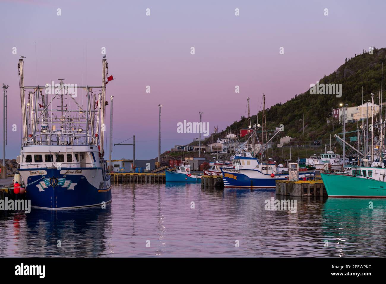 Plusieurs bateaux de pêche au crabe, à la morue et à la crevette de couleur bleue et blanche sont attachés au quai de St. John's Harbour. Le bateau est chargé de matériel de pêche. Banque D'Images