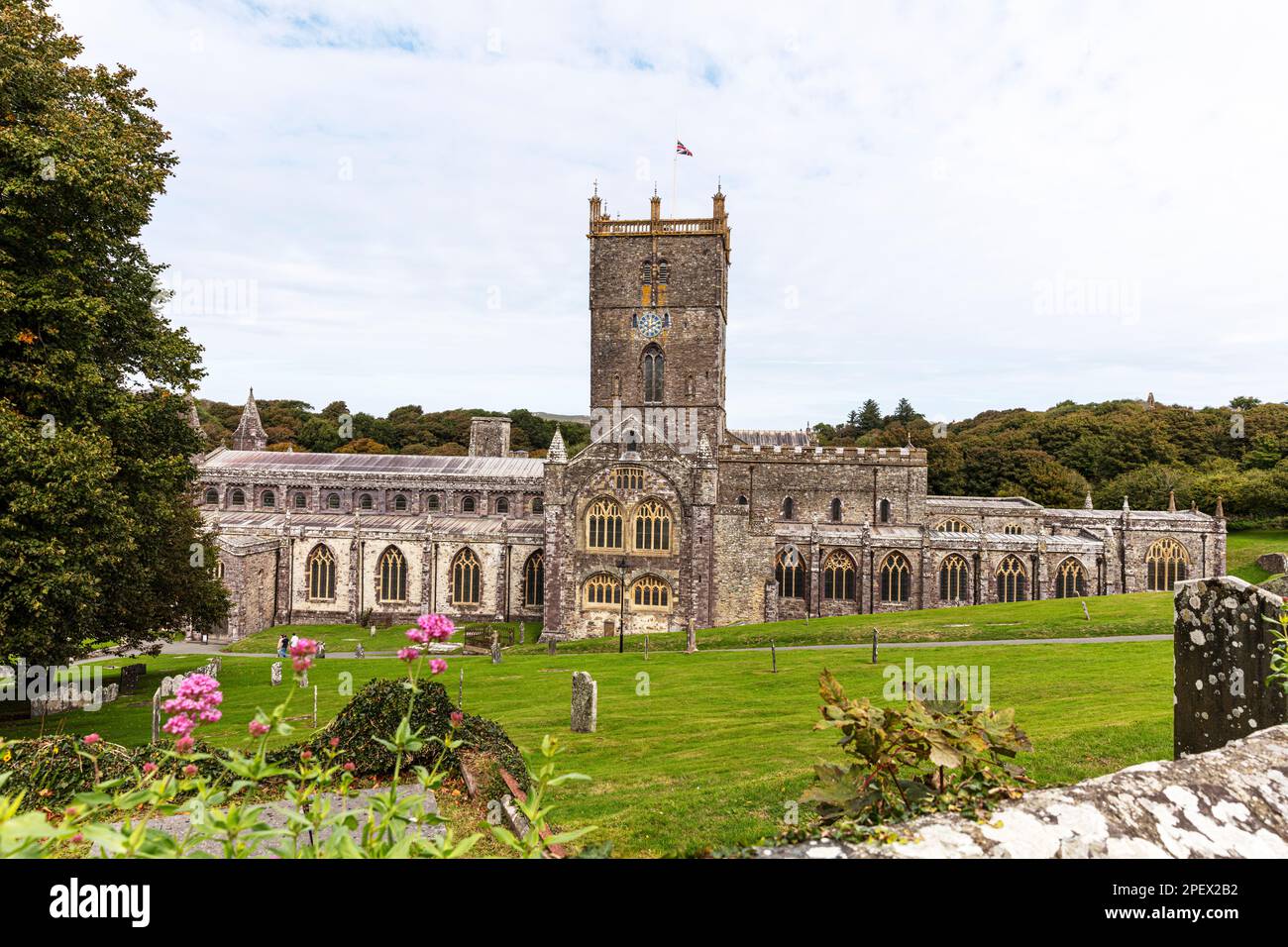 St. Davids Cathedral, St Davids, Pembrokeshire, pays de Galles, Royaume-Uni, St. Davids, Cathédrale, paysage, St, ville de Davids, st Davids Wales, St Davids UK, le plus petit Banque D'Images