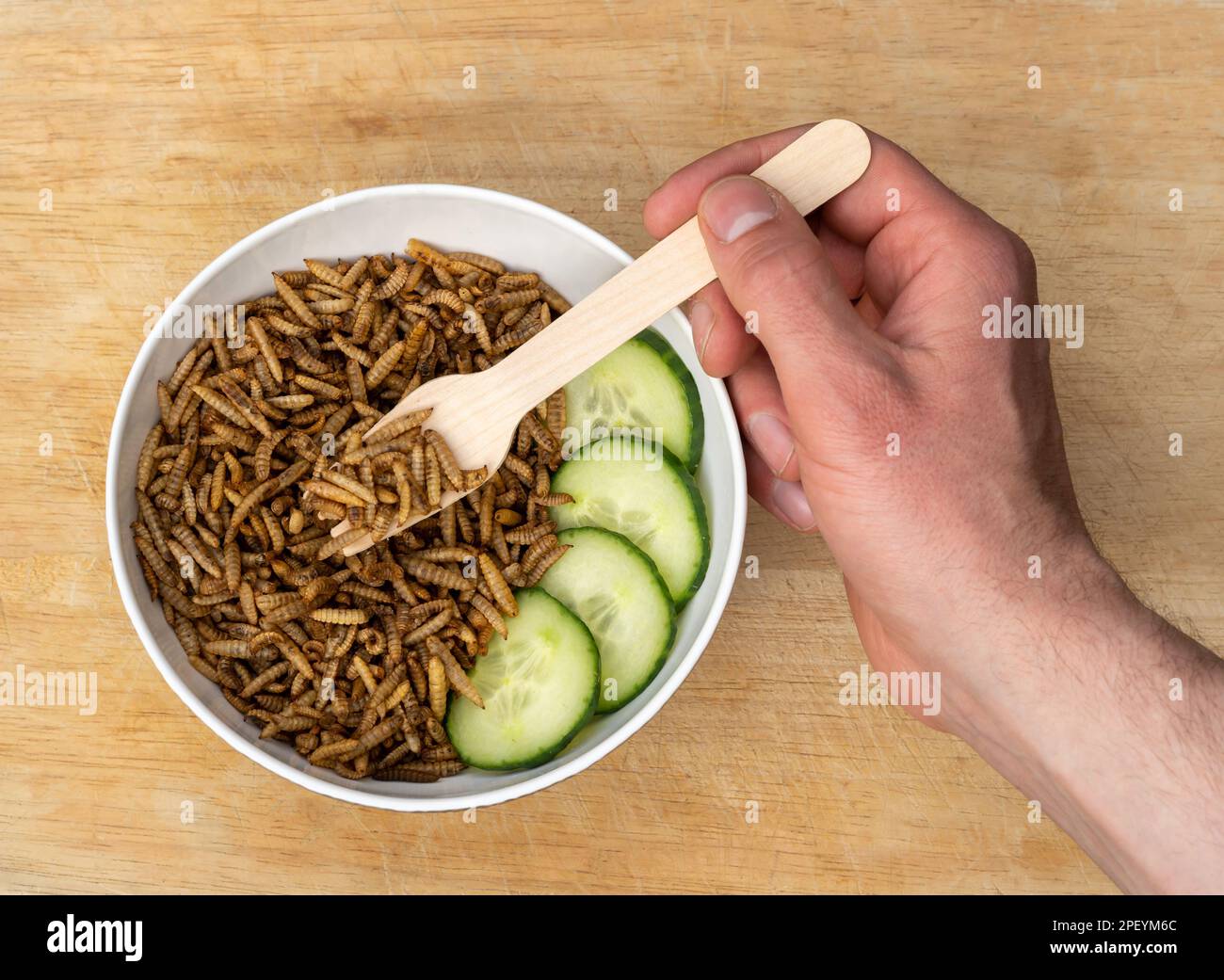 Manger des vers de viande, servir d'insectes comestibles dans un bol, vue de dessus avec la main et la fourchette en bois Banque D'Images