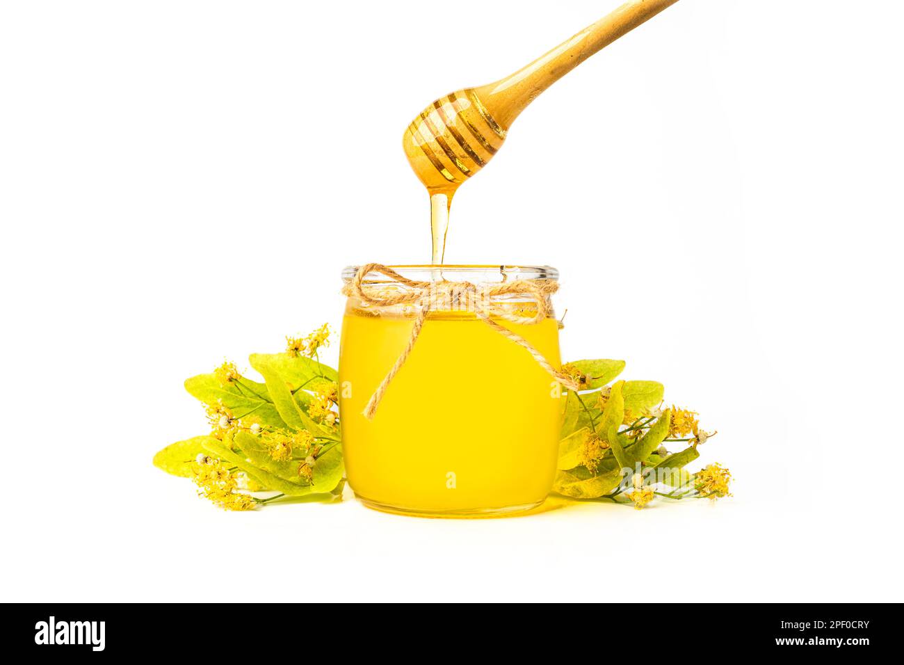 Abeille isolée dans un pot en verre et avec un balancier de miel sur fond blanc, produits d'abeille. Concept de nourriture biologique saine. Banque D'Images