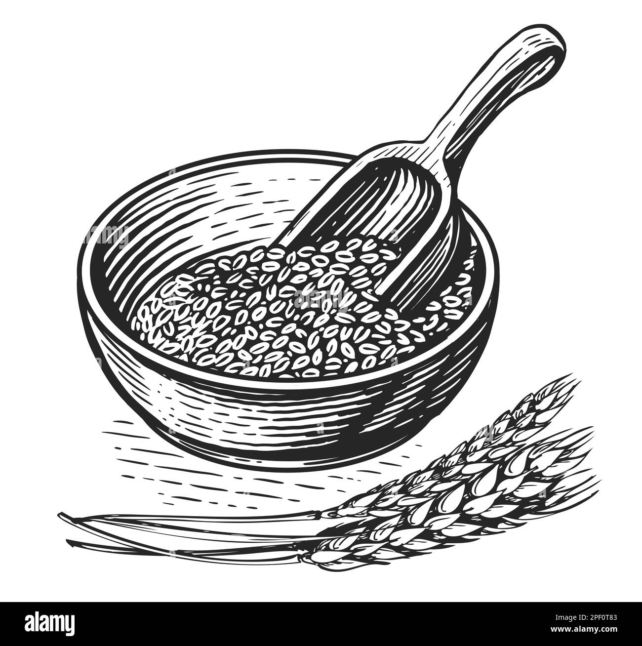 Alimentation saine. Bol de bouillie de petit déjeuner de style esquisse. Grains d'orge, pelle en bois et épis de blé Banque D'Images