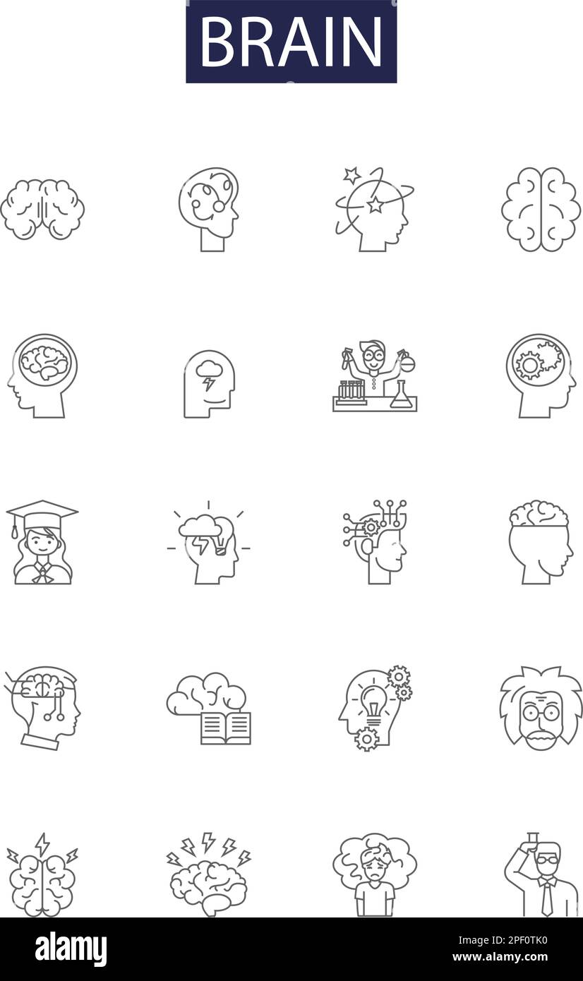 Icônes et signes vectoriels de la ligne cérébrale. Cortex, neurones, penser, gris, mémoire, Jeu d'illustrations vectorielles d'apprentissage, d'intellect et de cervelet Illustration de Vecteur