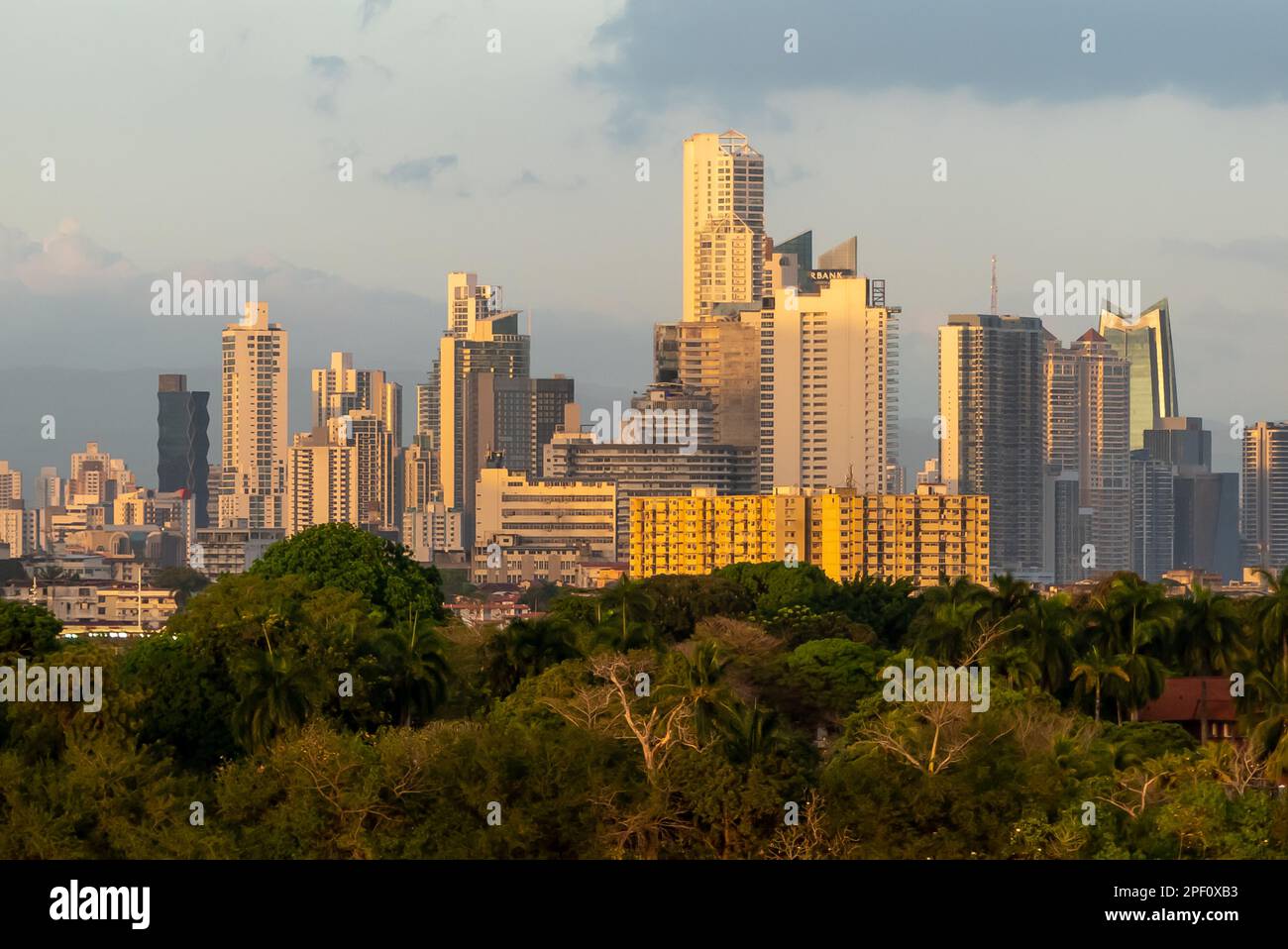 Le canal de Panama : les tours de la ville de Panama qui apparaissent au-dessus de la forêt tropicale. Banque D'Images