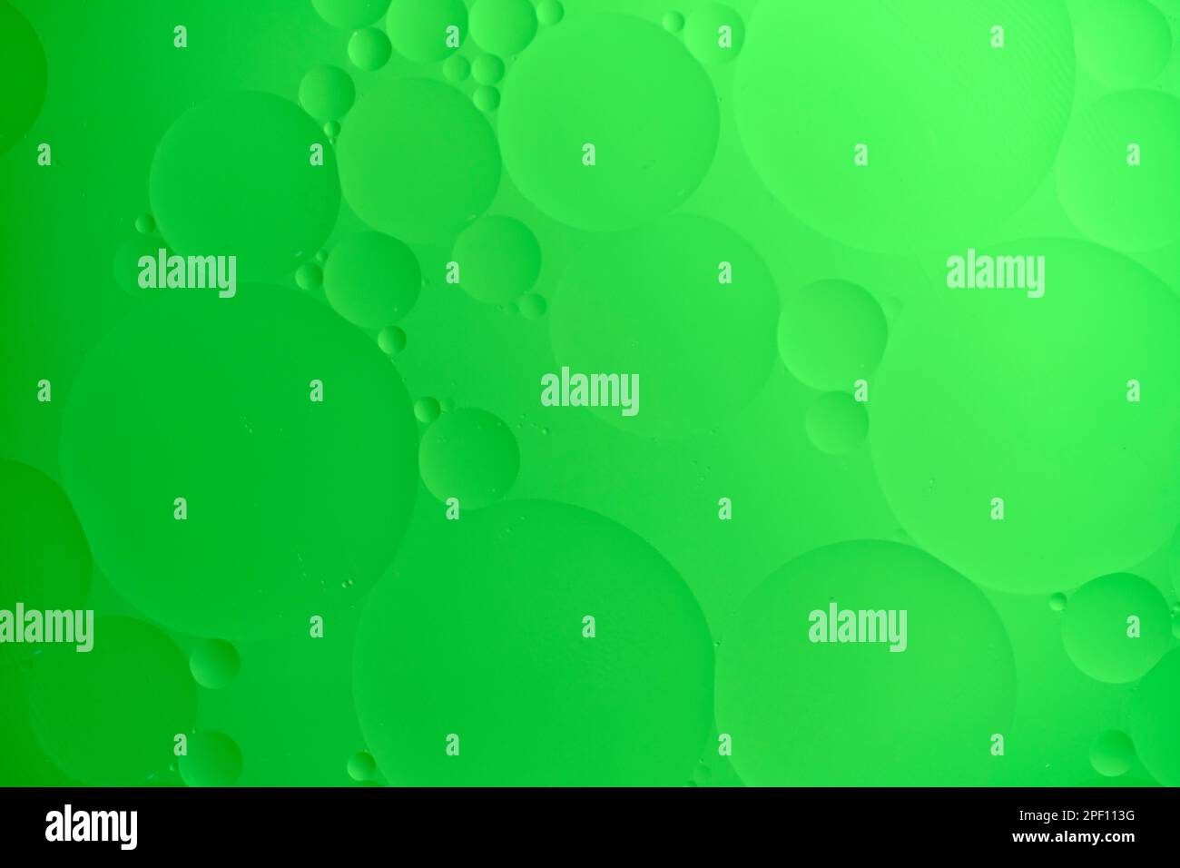 Arrière-plan abstrait avec cercles d'huile verts et dégradé. Banque D'Images
