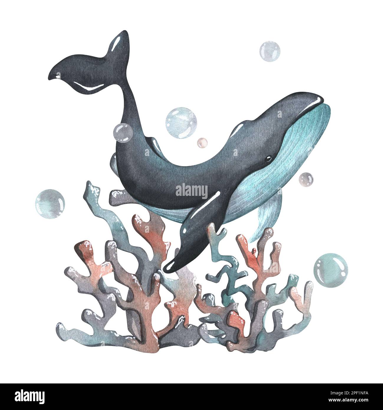 Baleine avec coraux et bulles. illustration aquarelle. Composition de la baleine de collection. Pour la décoration et le design nautique, pour enfants Banque D'Images