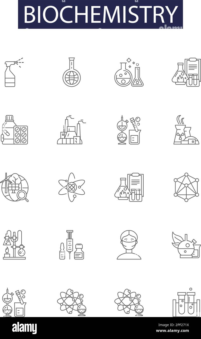 Icônes et signes de vecteur de ligne de biochimie. Métabolisme, enzymes, protéines, acides aminés, lipides, Glucides, acides nucléiques, membranes vectorielles Illustration de Vecteur