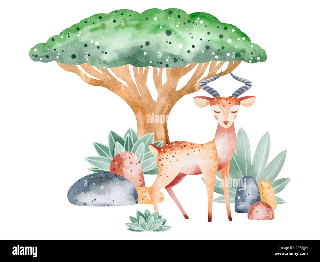 Ensemble d'illustrations aquarelles d'animaux de savane dans la nature. Illustration d'animaux sur fond blanc. Dessiné à la main. Banque D'Images