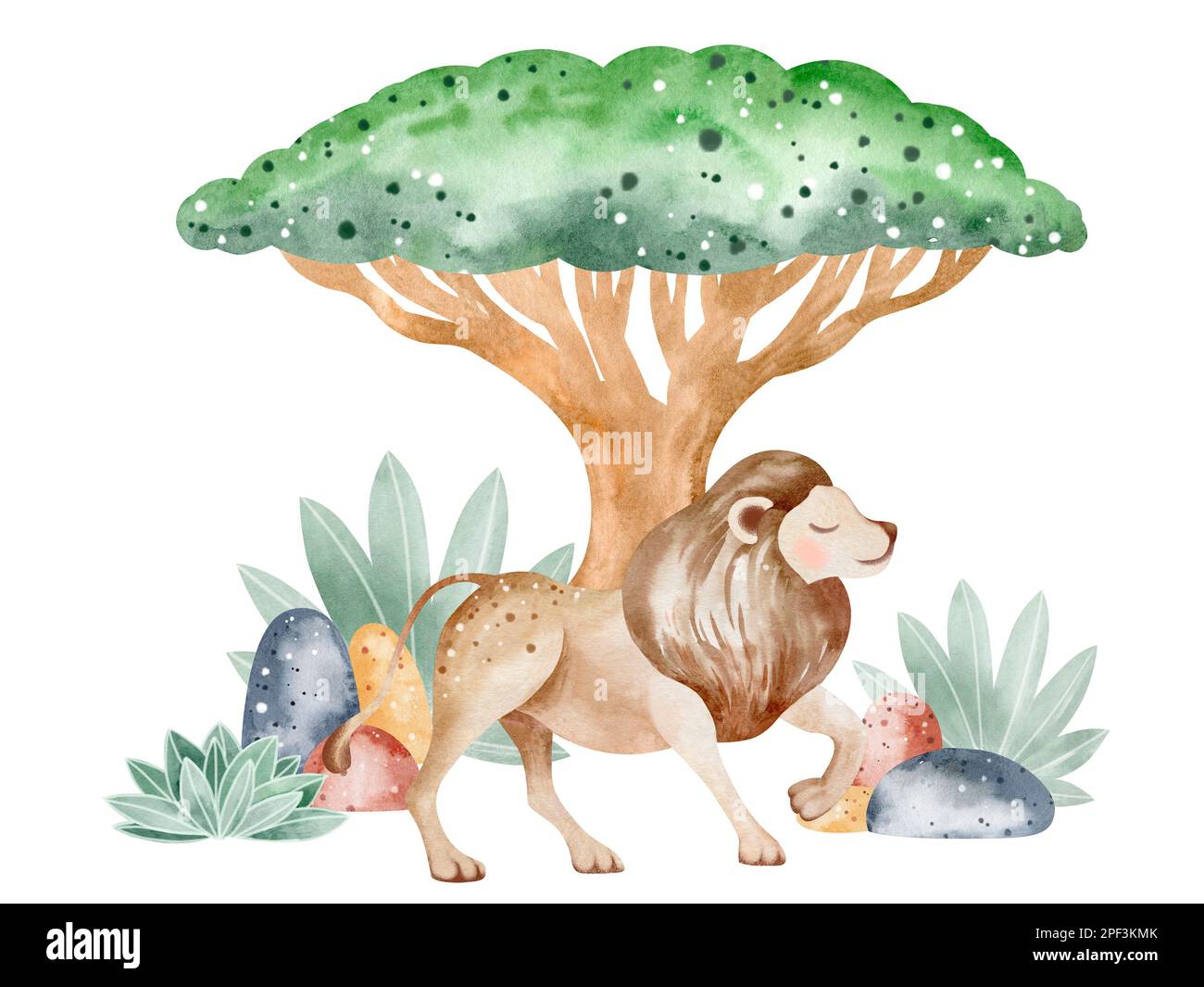 Ensemble d'illustrations aquarelles d'animaux de savane dans la nature. Illustration d'animaux sur fond blanc. Dessiné à la main. Banque D'Images