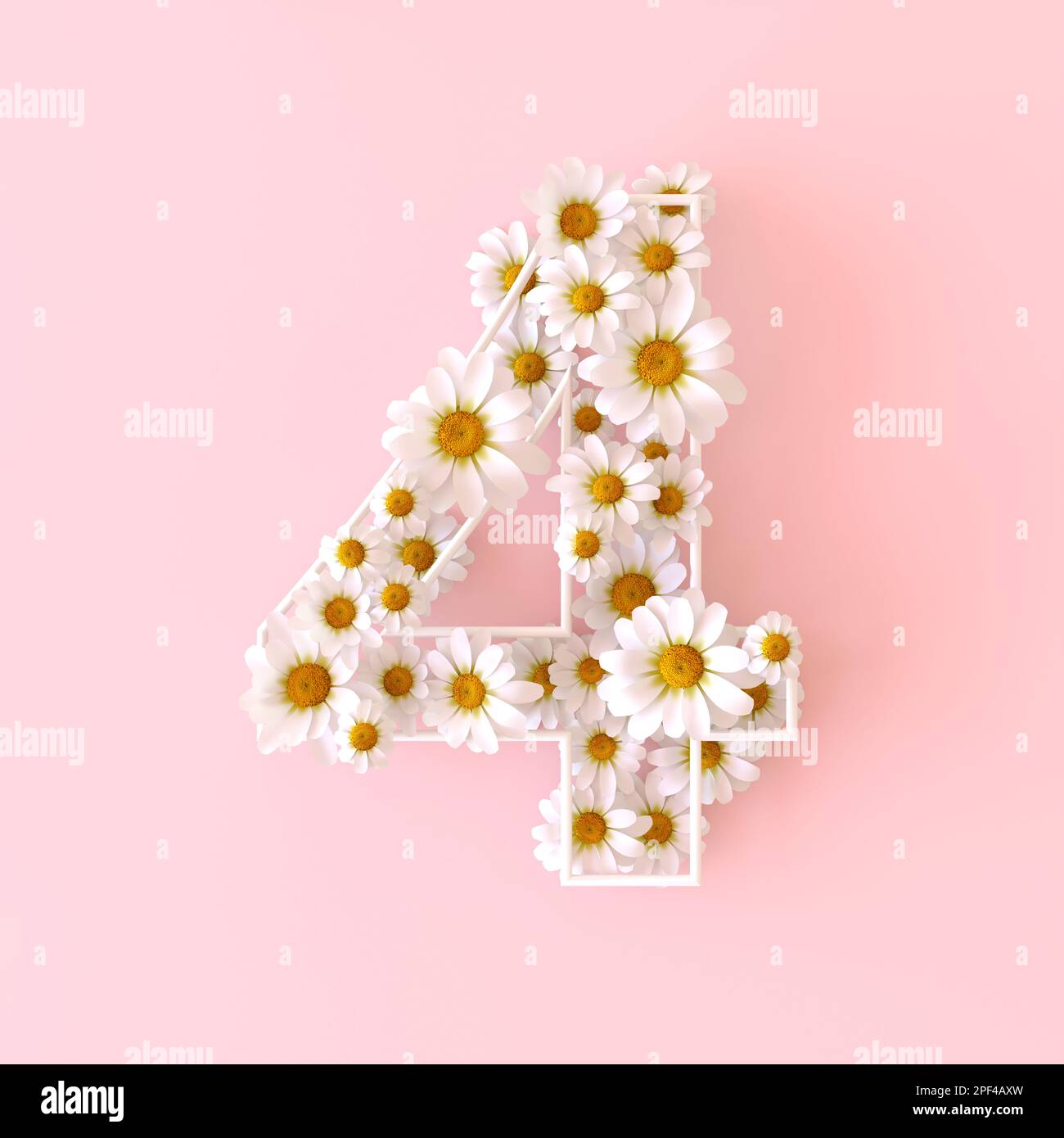 Numéro 4 fait de fleurs de camomille naturelles. Mignon chamomiles numéro quatre. Concept de chiffres de fleurs de printemps isolé sur un arrière-plan rose pastel mignon. Haut Banque D'Images