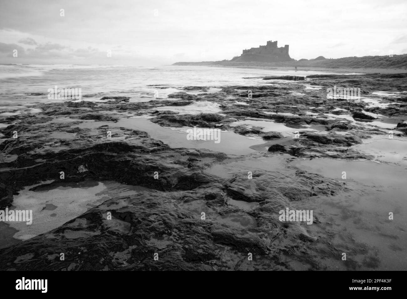 Plage de Bamburgh sous le château, l'imposant château médiéval et situé dans la région de la côte de Northumberland d'une beauté exceptionnelle Banque D'Images