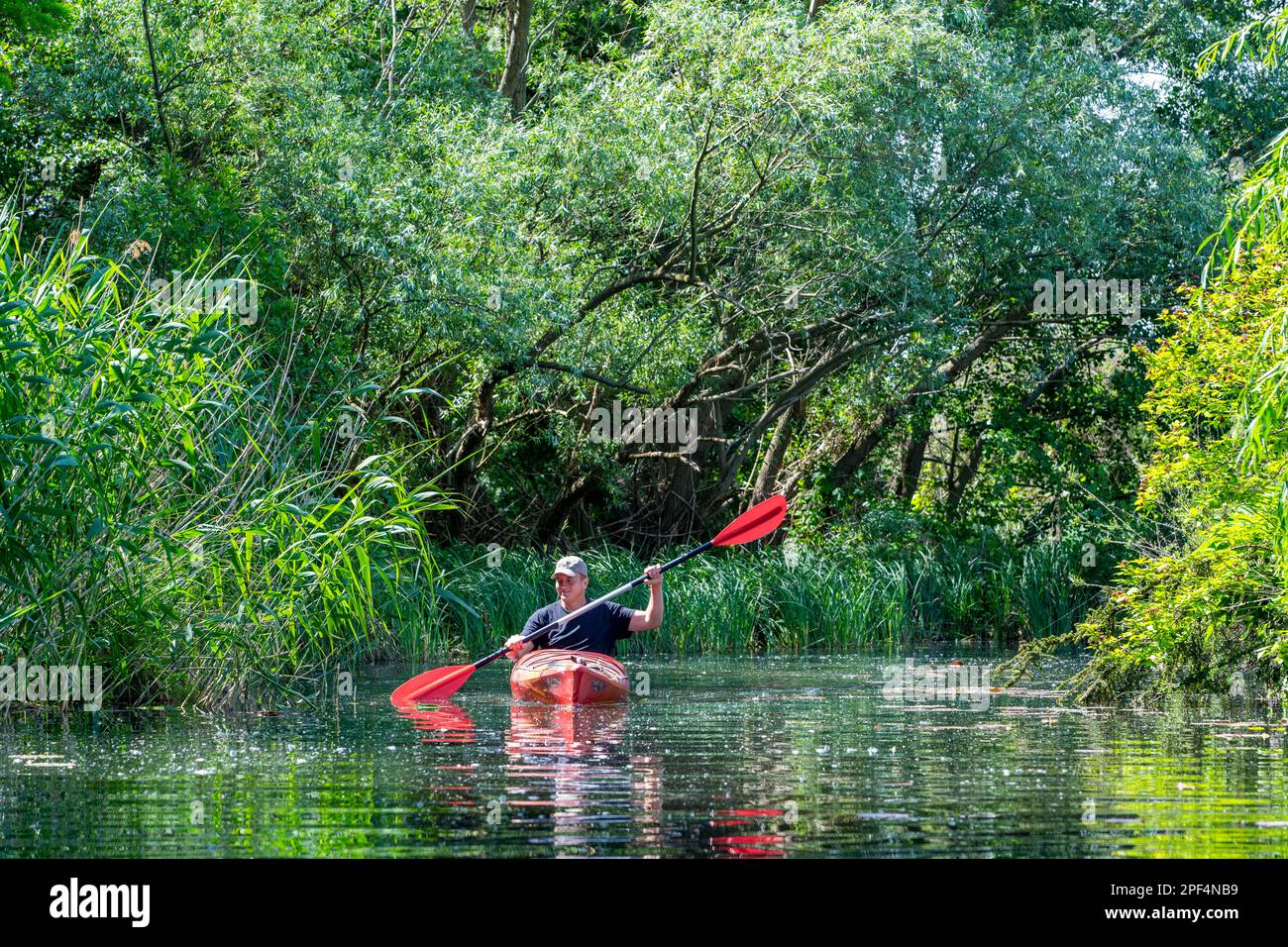 Pagayer dans un kayak dans une branche de la Havel, Brandebourg et Havel, Brandebourg, Allemagne Banque D'Images