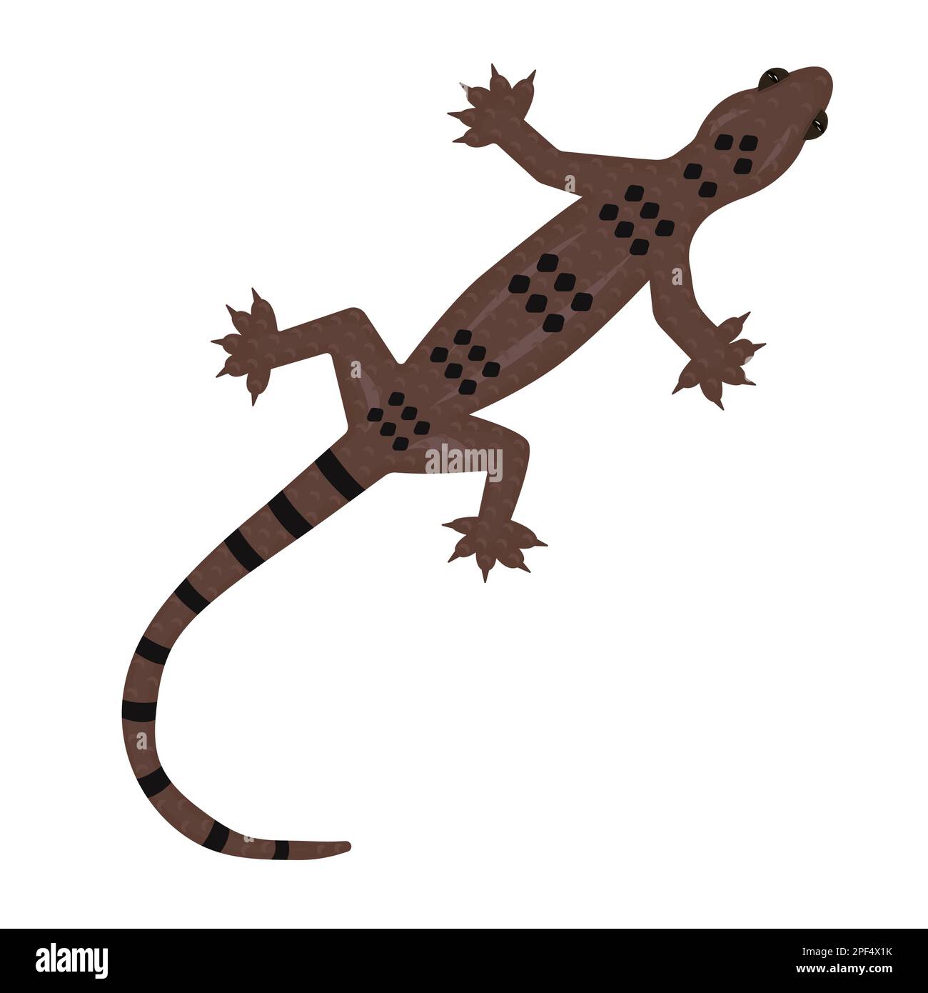 Gecko léopard marron, jolie illustration colorée Illustration de Vecteur