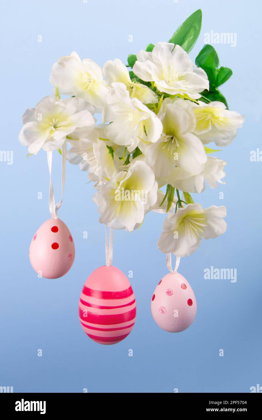 Magnifique arrangement d'œufs de Pâques roses suspendus d'une branche fleurie sur un fond bleu calme Banque D'Images