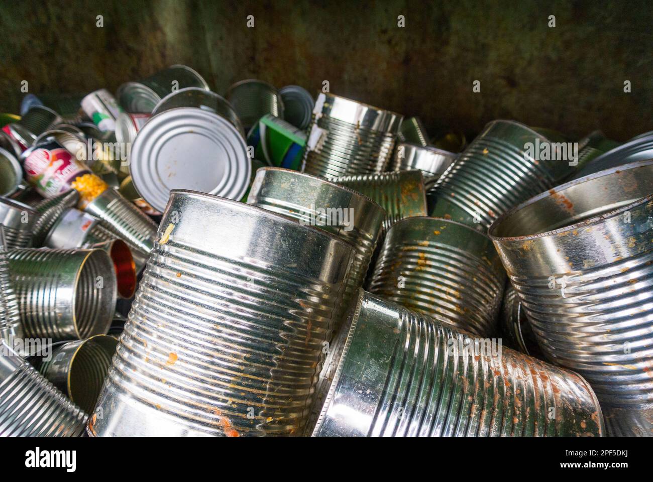 Bac de recyclage rempli de boîtes de conserve au centre de recyclage de Sitka, Alaska, États-Unis. Banque D'Images