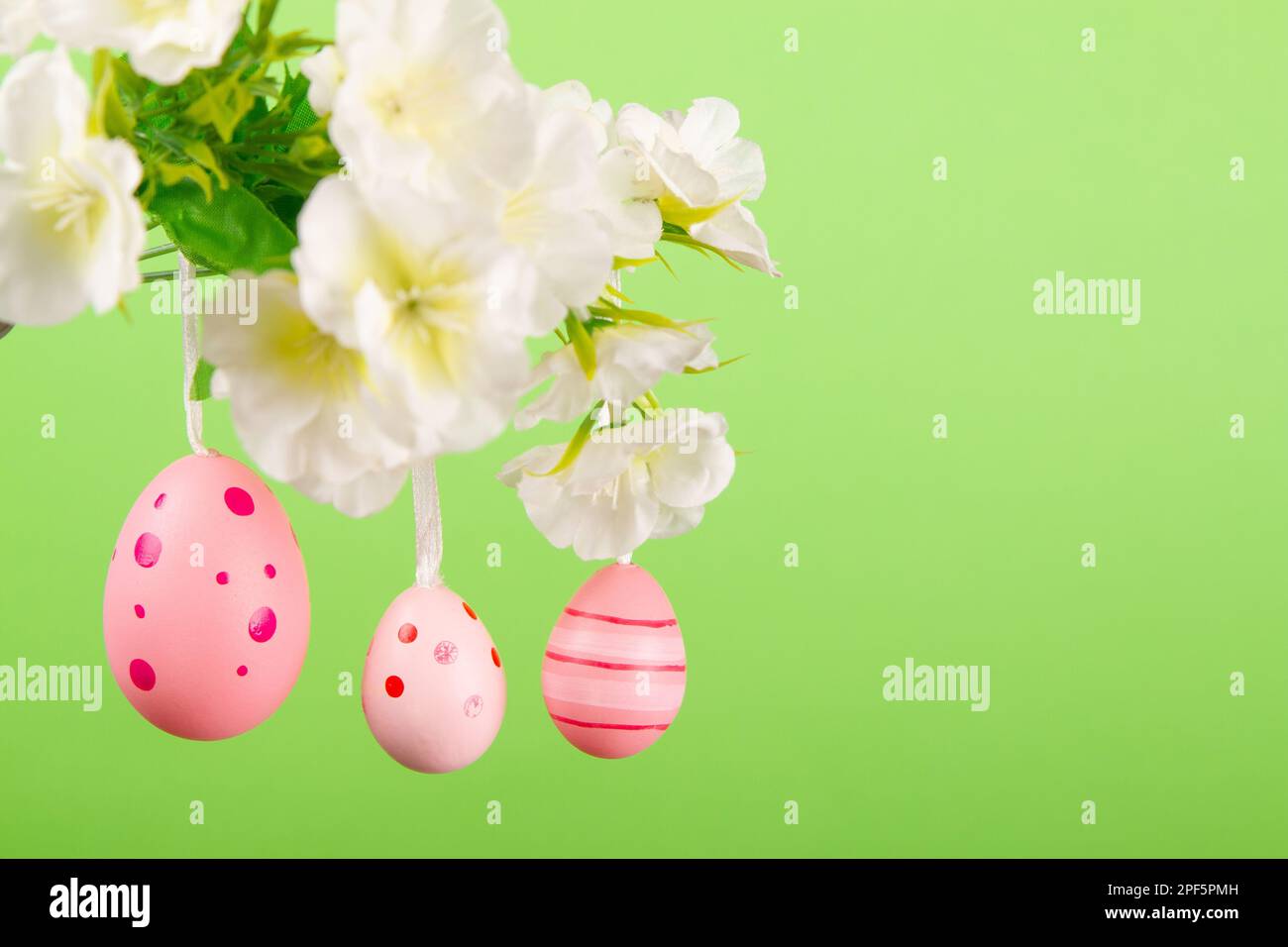 Capturez l'essence de Pâques avec cette image pittoresque de trois œufs roses suspendus d'une branche délicate en pleine fleur, contrastant avec la lumière g. Banque D'Images