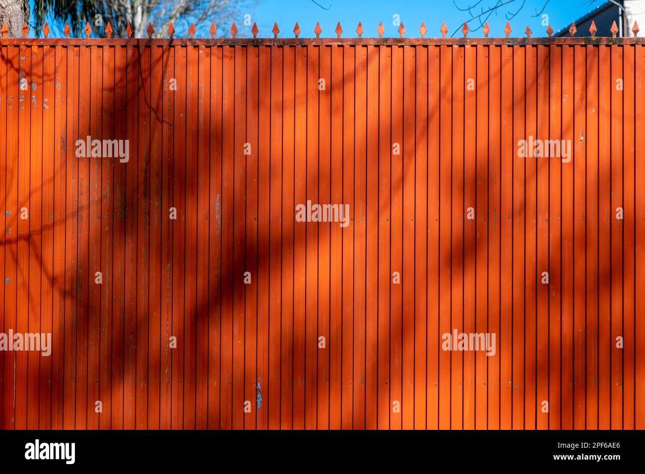 porte métallique rouge avec l'ombre des branches d'arbre au coucher du soleil Banque D'Images