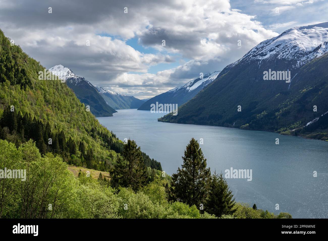 Vue sur le bras d'un fjord en Norvège, la photo montre un paysage très typique de la région, dans la forêt dense en premier plan dans différentes nuances de Banque D'Images