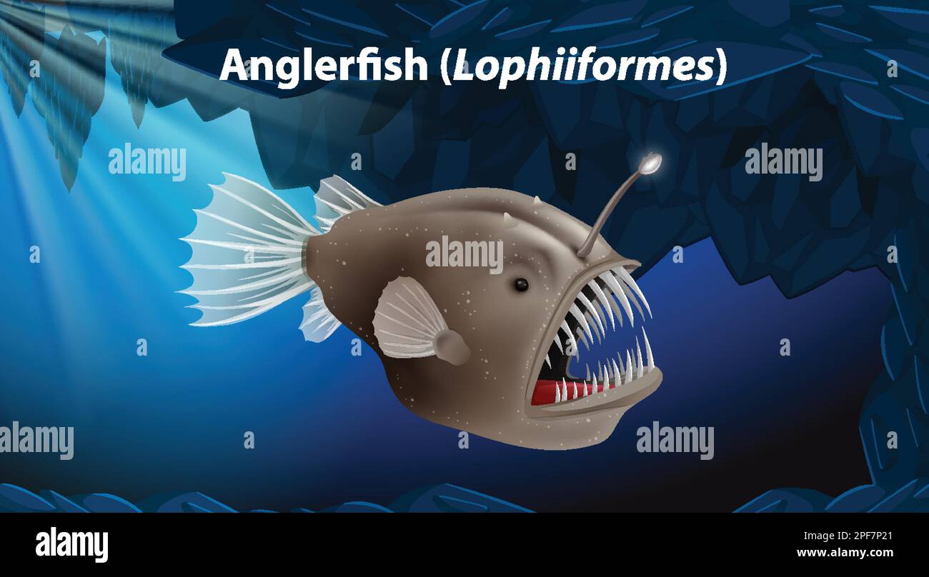 Illustration de la conception vectorielle de la pêche à la ligne (Lophiiformes) Illustration de Vecteur