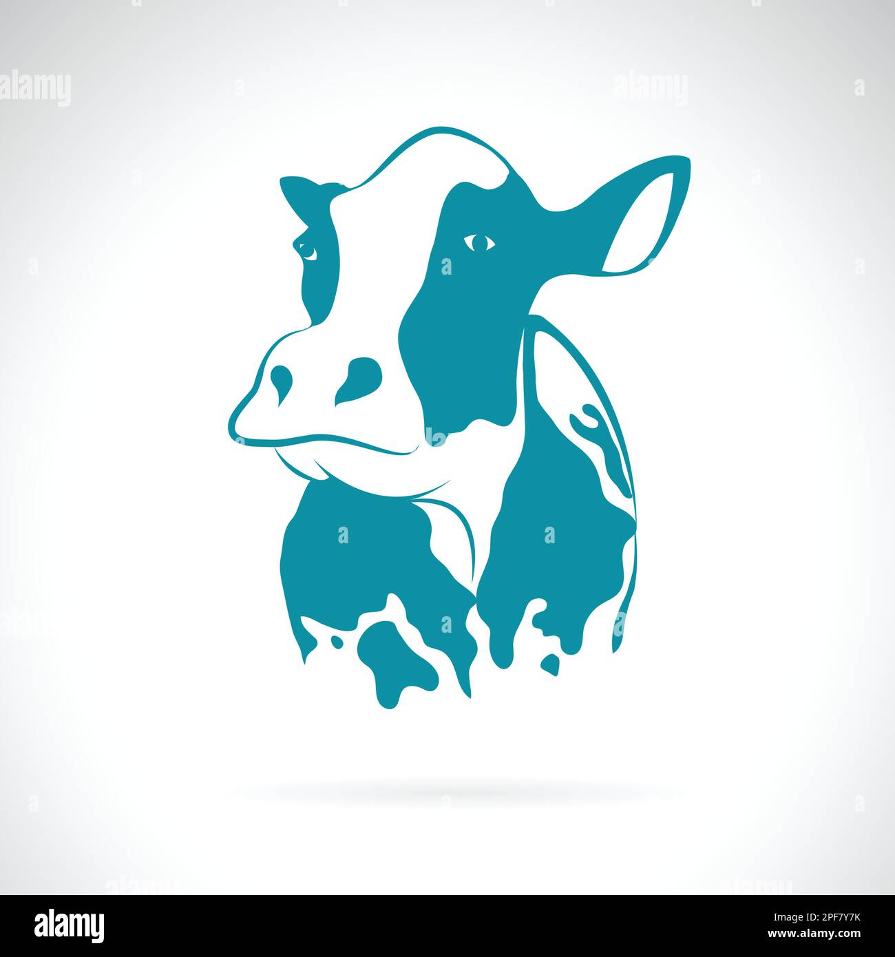 Vecteur d'un dessin de vache sur fond blanc. Animaux de ferme. Illustration de Vecteur