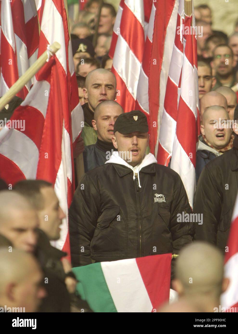 Members and sympathizers of the "Blood and Honor" neo-nazi group gather in downtown Budapest, in front of the Hungarian Parliament Building, Saturday Feb. 15, 2003. The participants, mostly skinheads, remembered the Germans and Hungarian soldiers who died in the World War II defence of Budapest in Feb. 1945. At the same time Jewish organizations protested against the presence of the neo-nazis on the streets of Budapest. (AP Photo/Bela Szandelszky) Banque D'Images