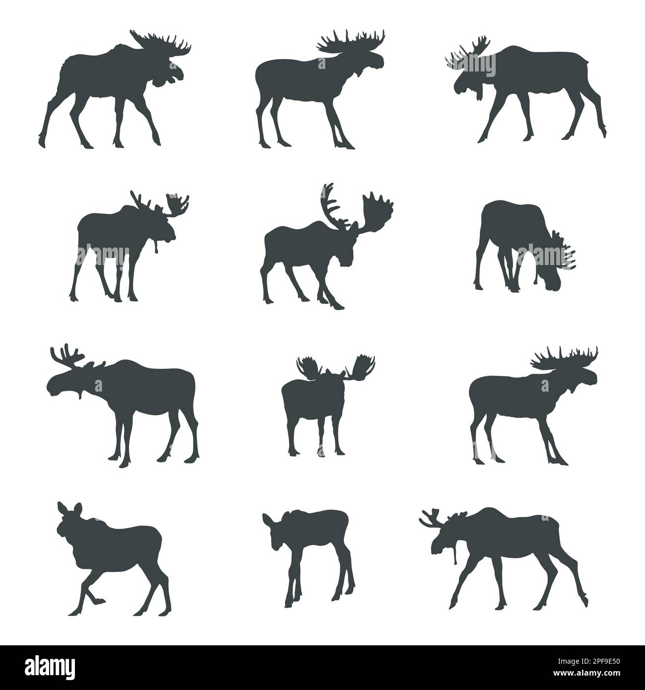 Silhouettes de Moose, ensemble silhouette de Moose Illustration de Vecteur Silhouettes de Moose, ensemble silhouette de Moose Illustration de Vecteur