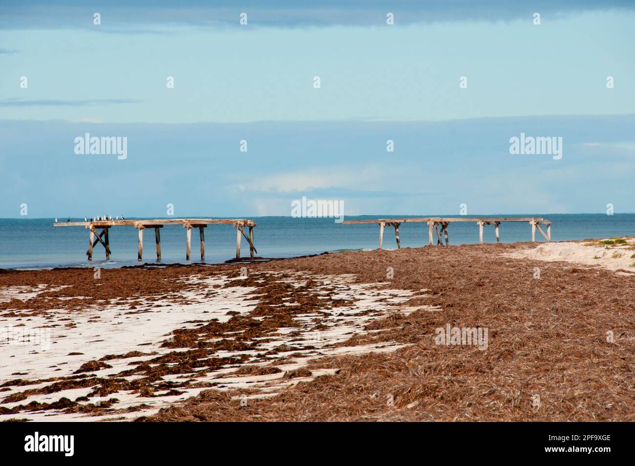 Eucla Jetty - Australie occidentale Banque D'Images