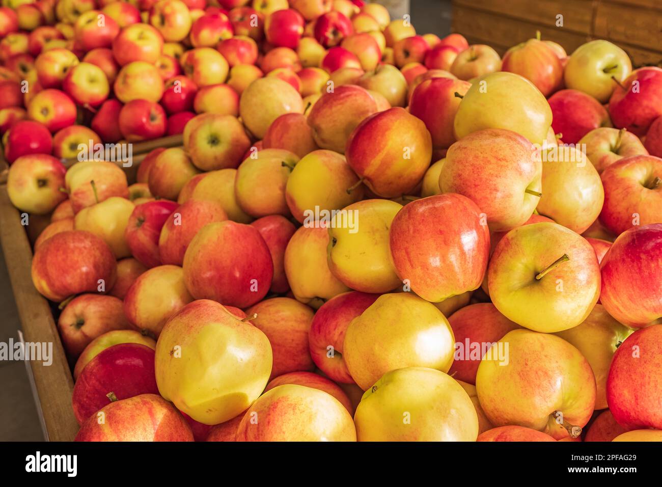 Pommes rouges sur le marché agricole. Produits naturels, fruits de saison, cuisine locale. Gros plan de pommes rouges et jaunes fraîches. Pommes dans les boîtes sur t Banque D'Images