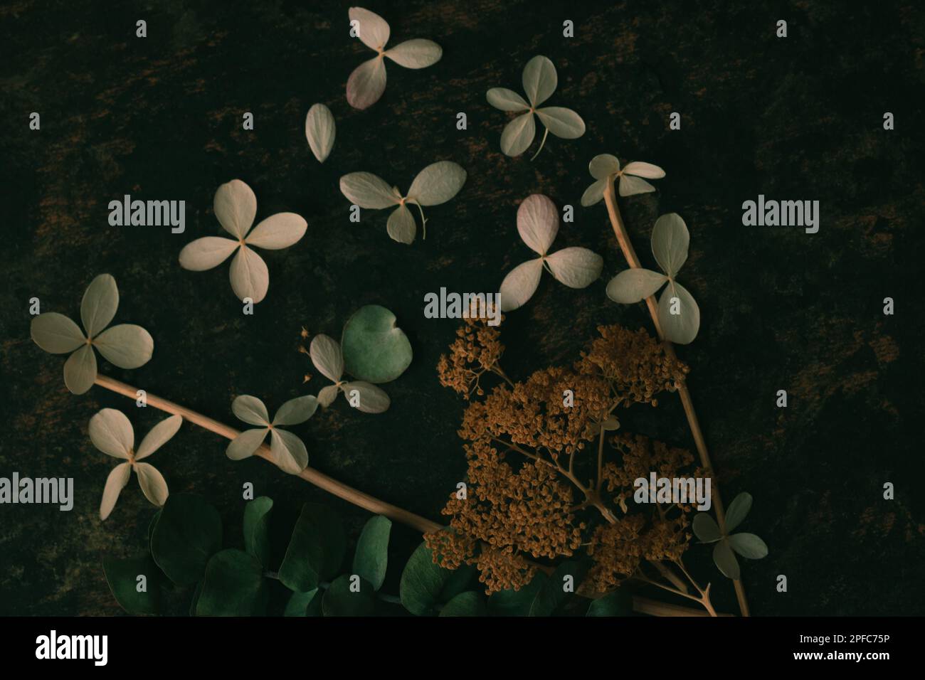 Composition florale créative verte avec fleurs d'hortensia Banque D'Images