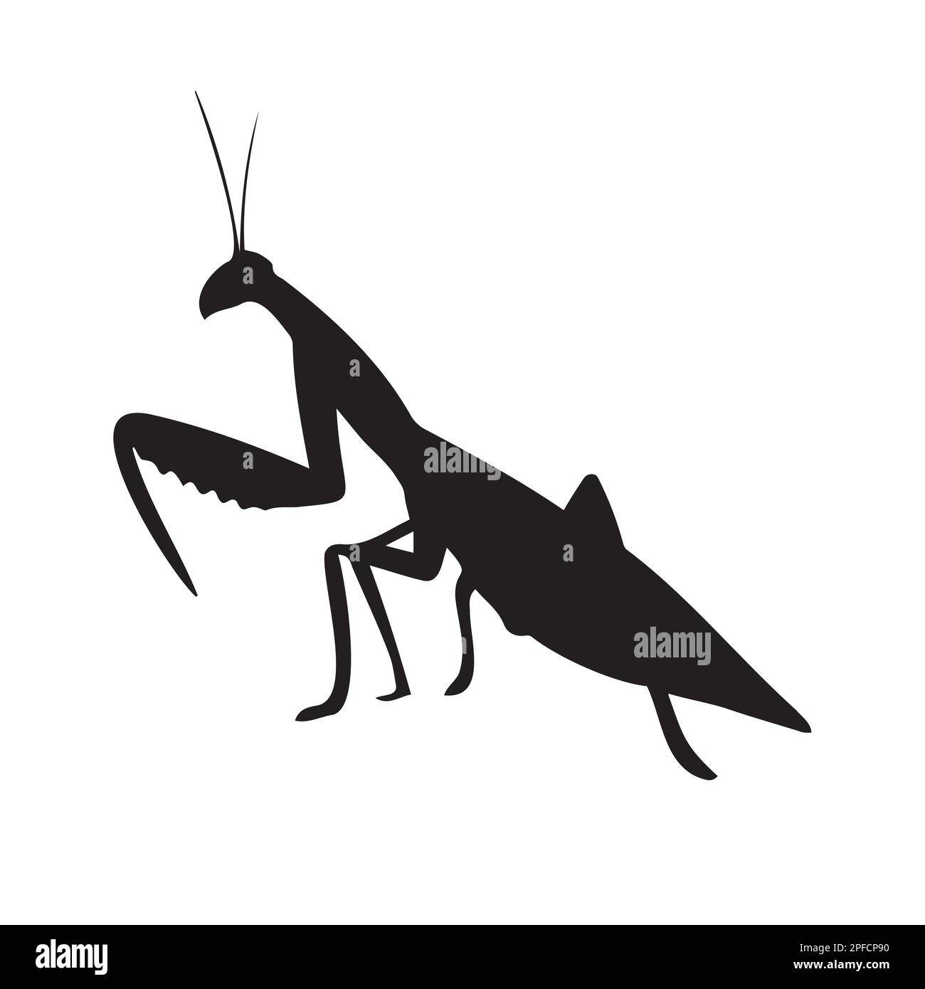 Silhouette de mantis vectorisée à la main Illustration de Vecteur