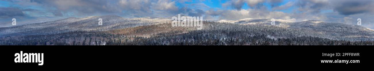 Paysage d'hiver dans les collines de la forêt bavaroise, Bavière, Allemagne. Banque D'Images