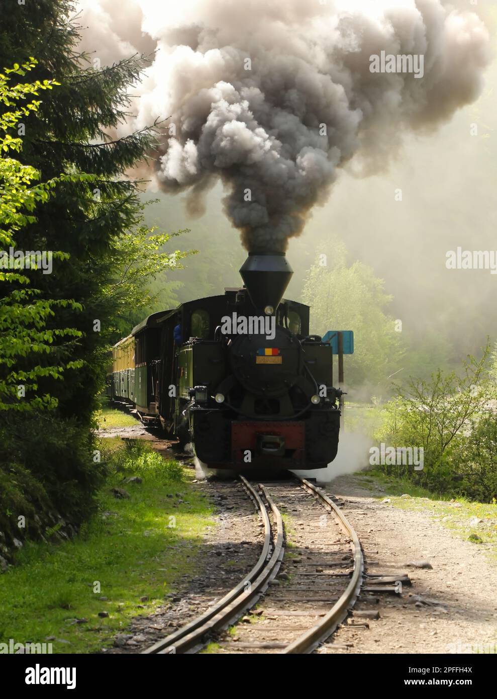 Voyage expérience avec Mocanita de Maramures - un petit train traditionnel avec une route à travers les montagnes et les forêts Banque D'Images